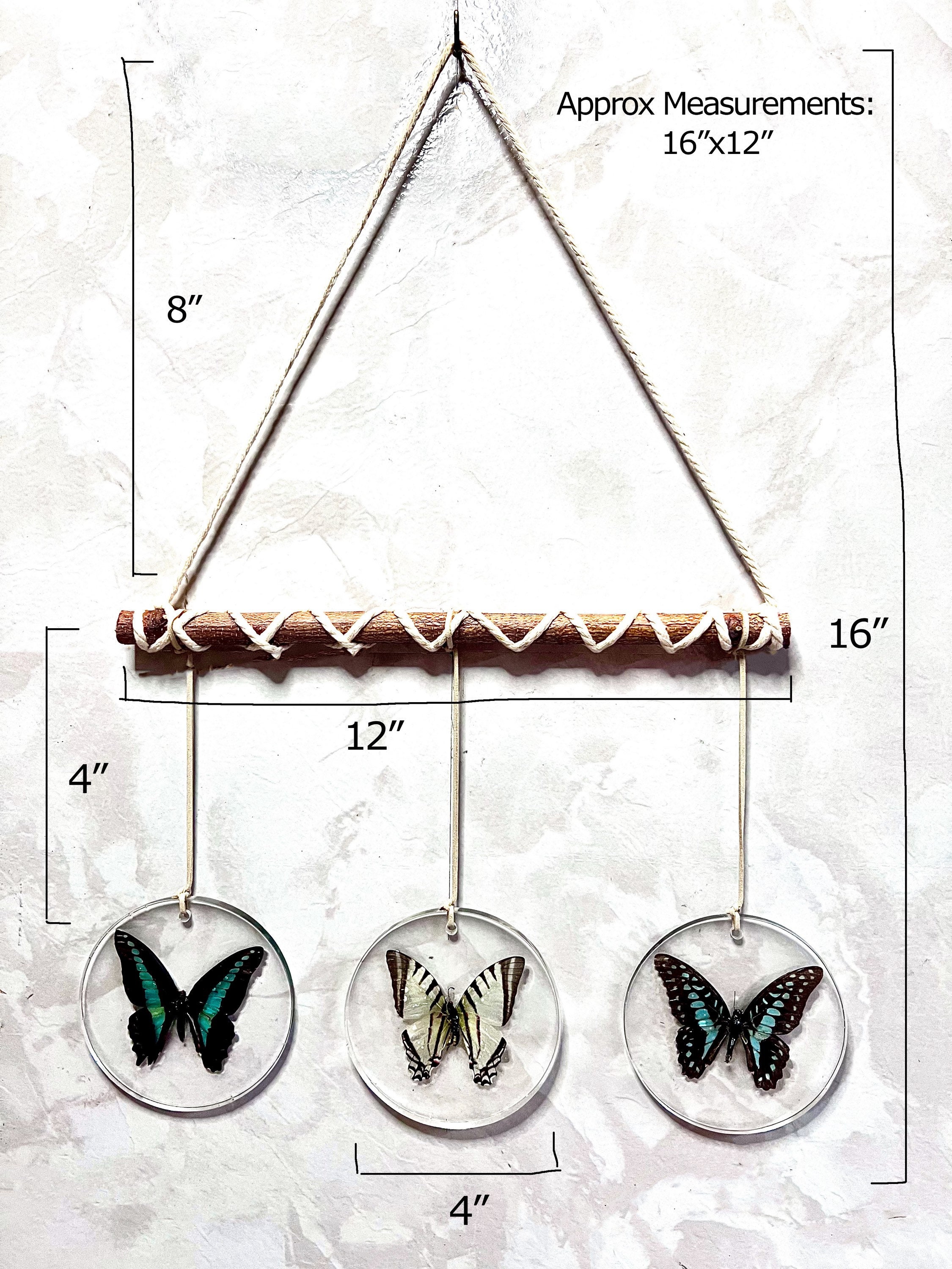 Original Butterfly Wall Hanging (Real Specimens) 16” x 12” - Thumbnail 6