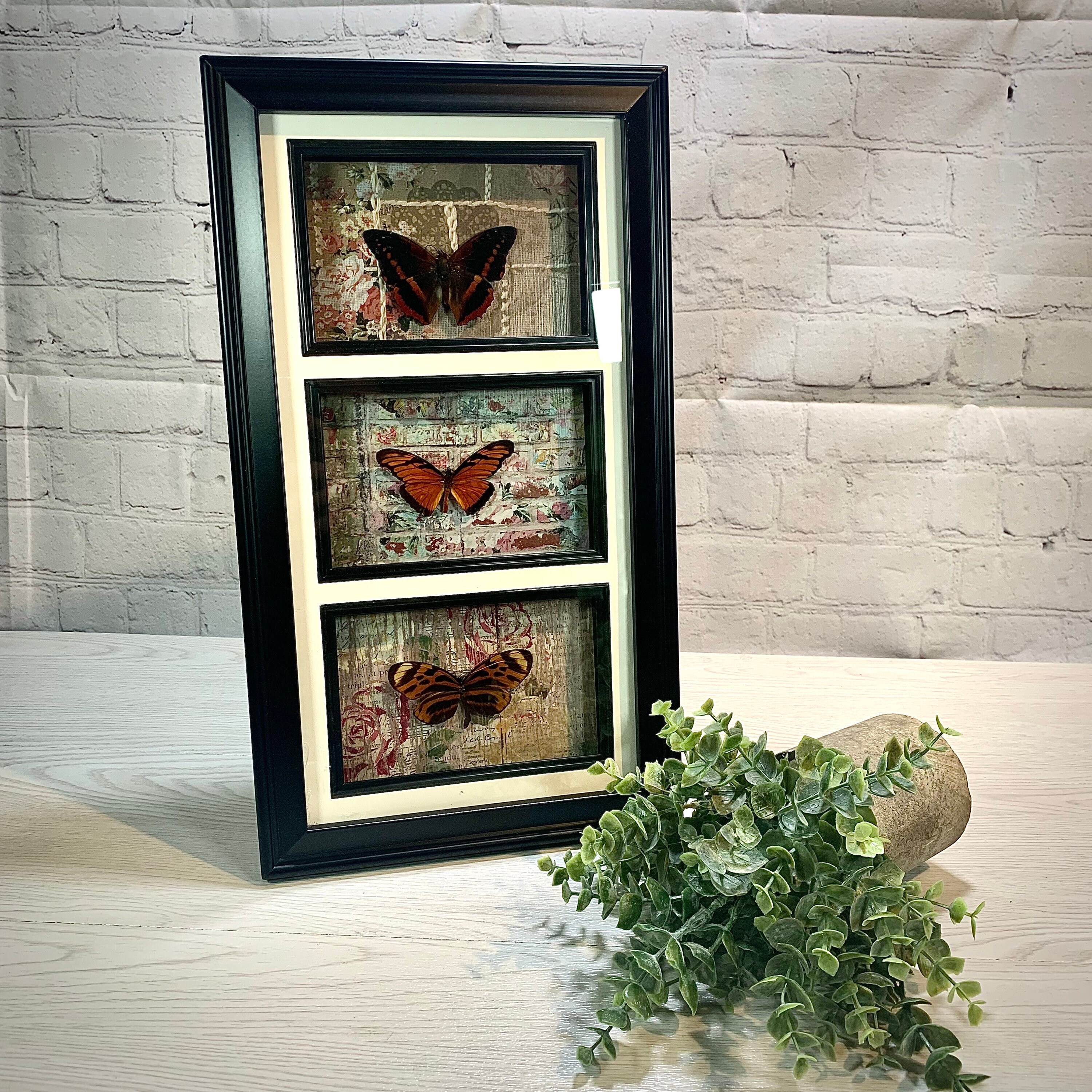 Butterfly Tower Display (Real Butterflies) - Thumbnail 3