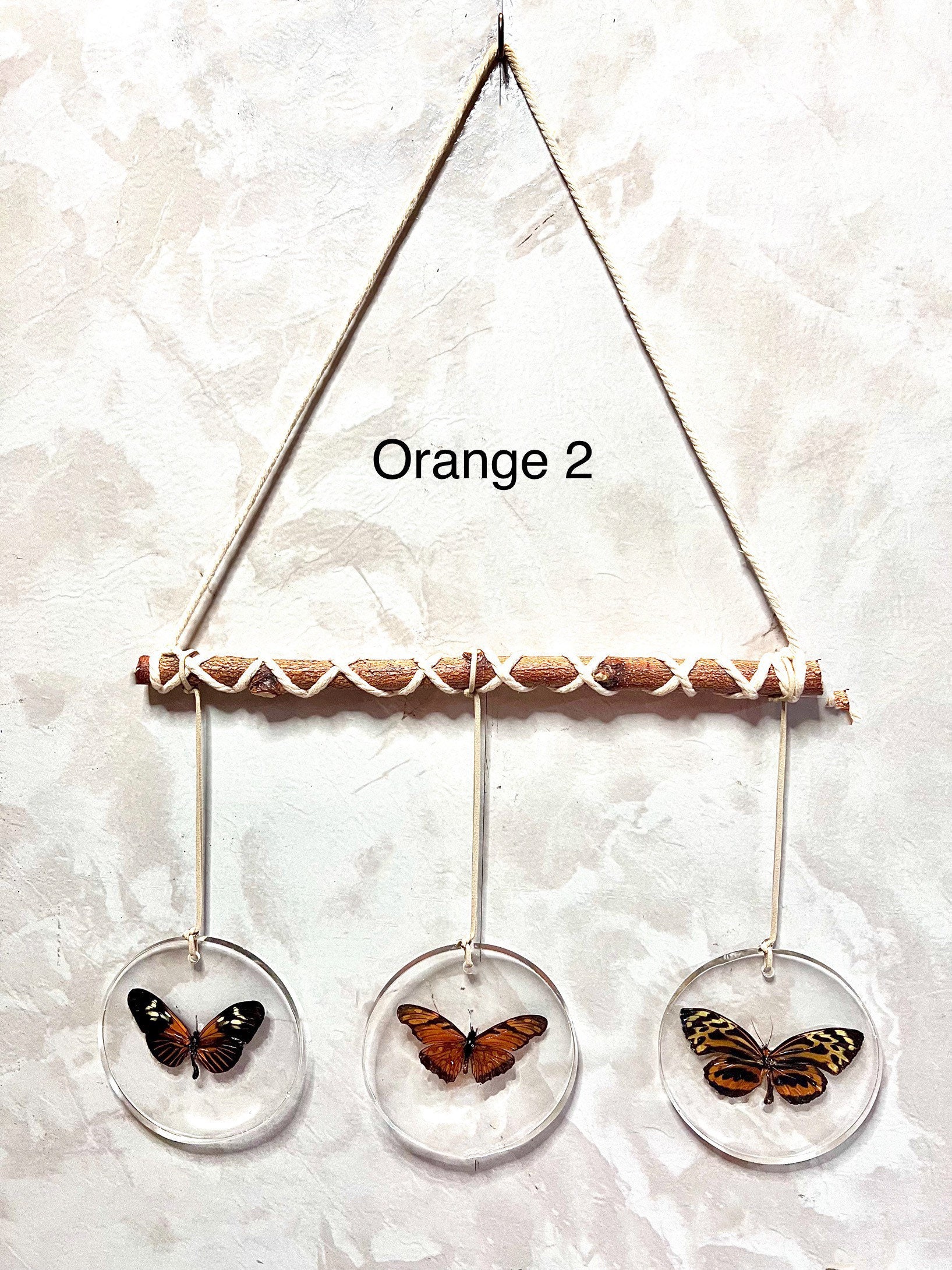 Original Butterfly Wall Hanging (Real Specimens) 16” x 12” - Thumbnail 3