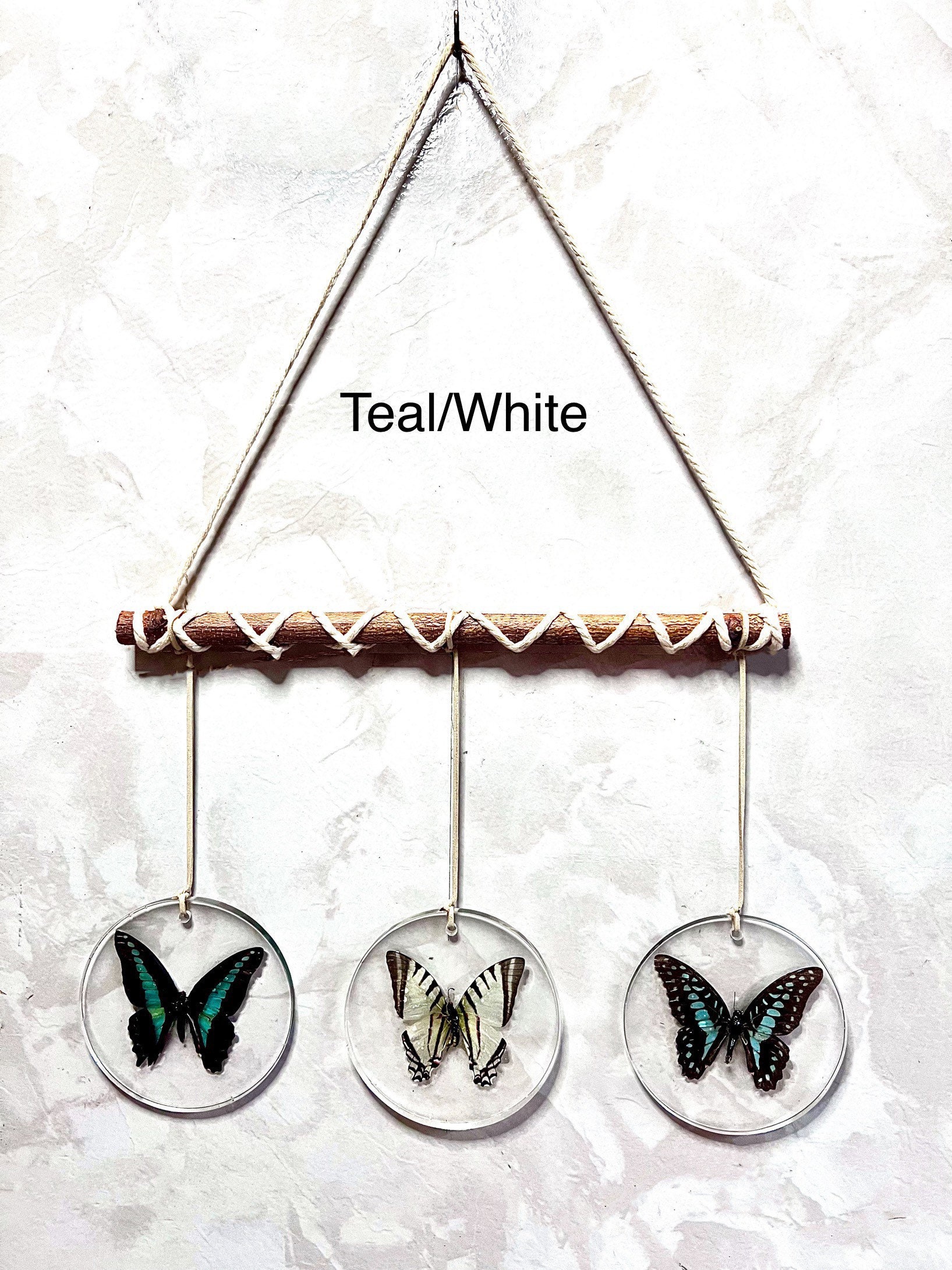Original Butterfly Wall Hanging (Real Specimens) 16” x 12” - Thumbnail 5