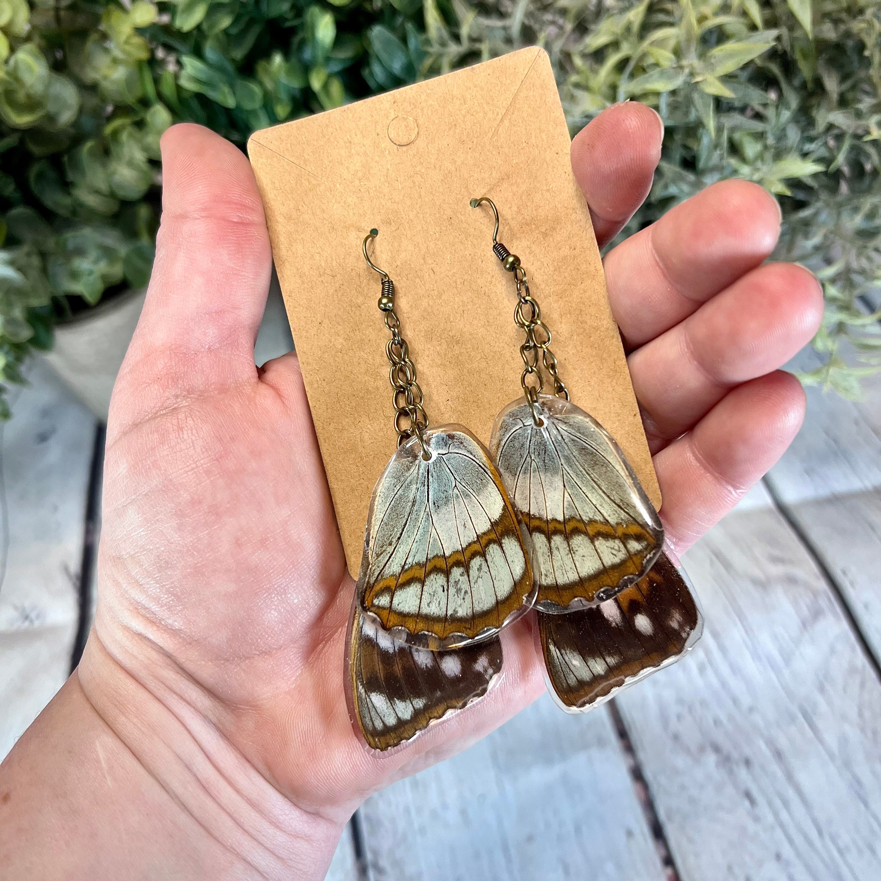 Real Butterfly Wing Earrings - Thumbnail 4