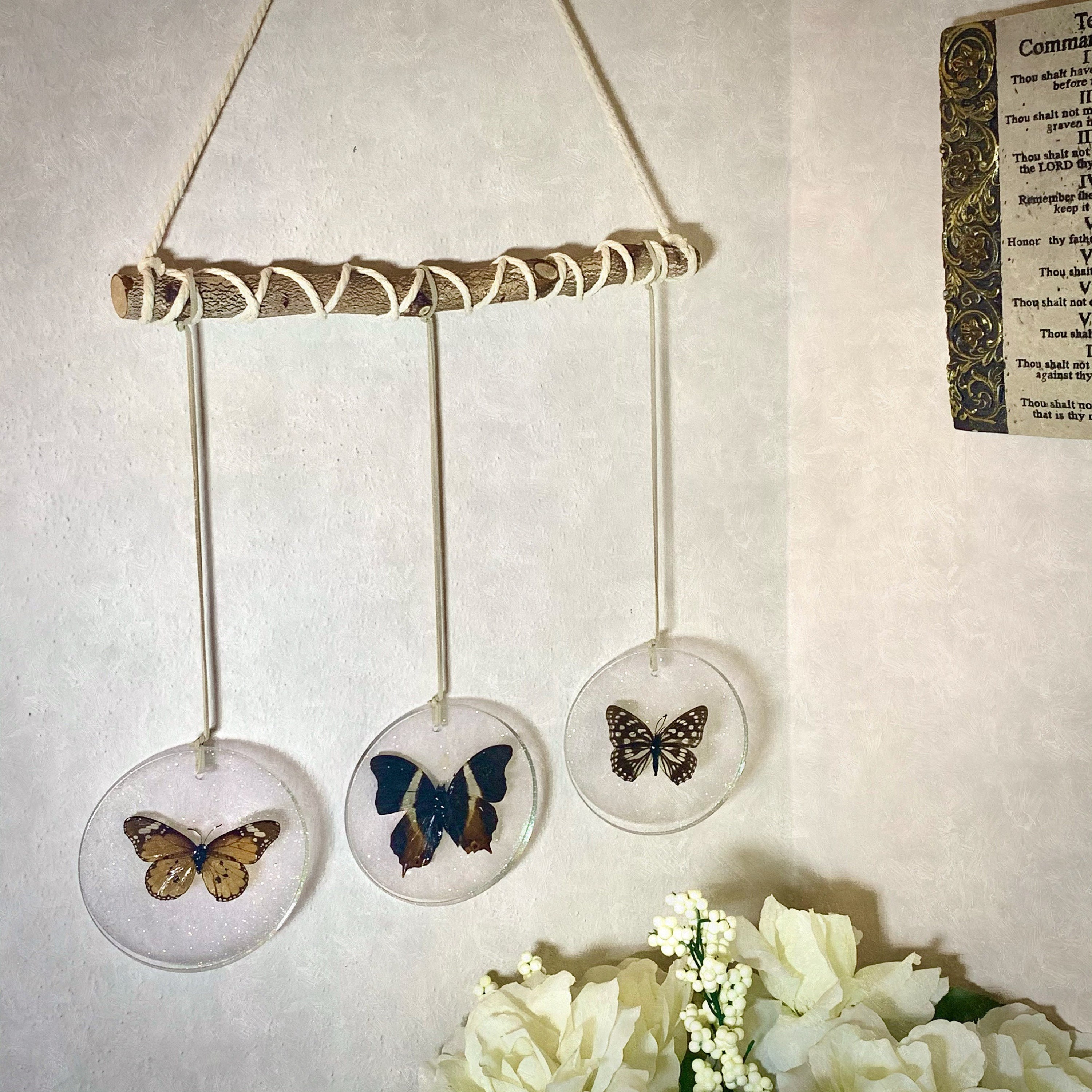 Butterflies