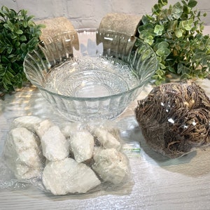 Rose of Jericho Kit - The Resurrection Plant - Excellent Christmas Gift!