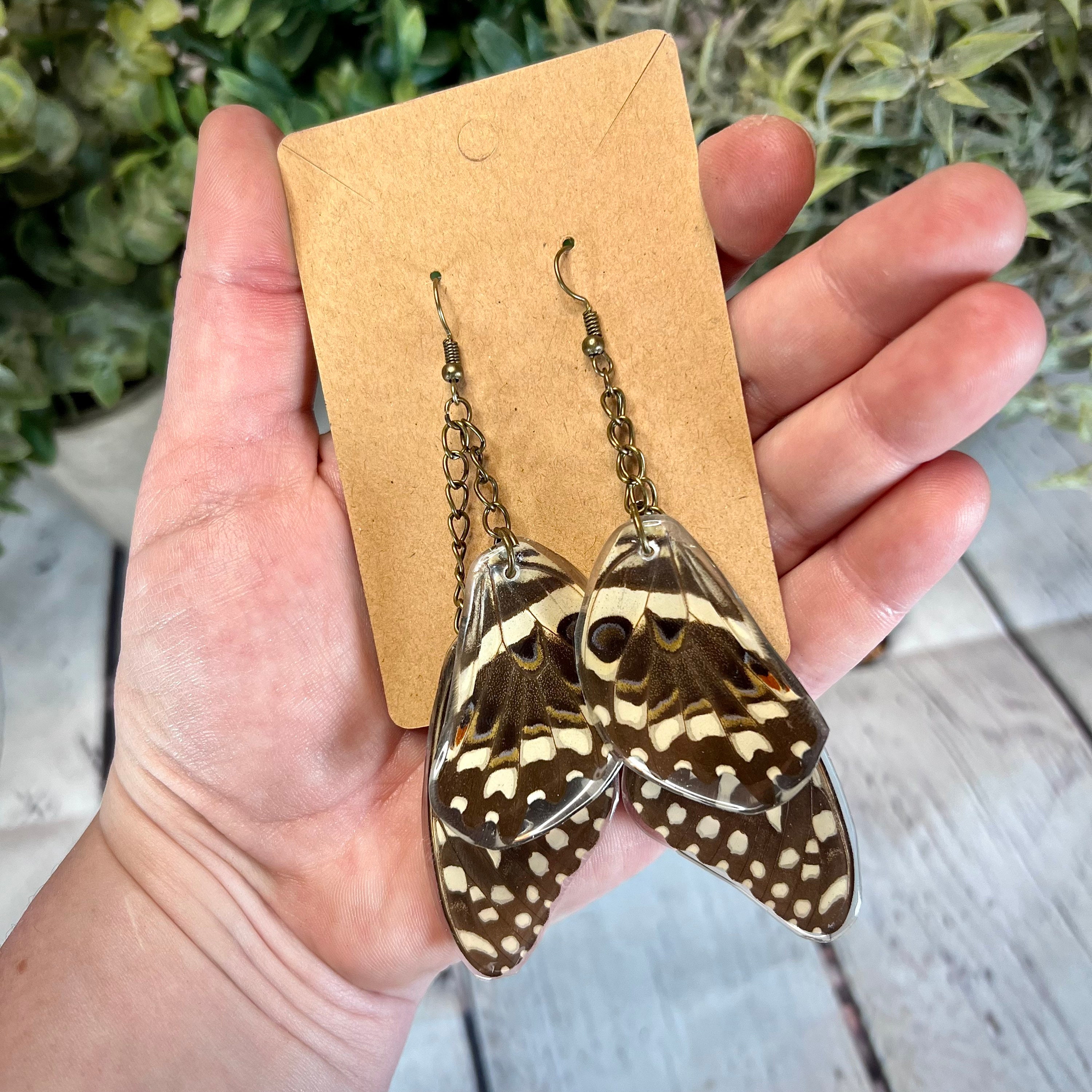 Real Butterfly Wing Earrings - Thumbnail 3