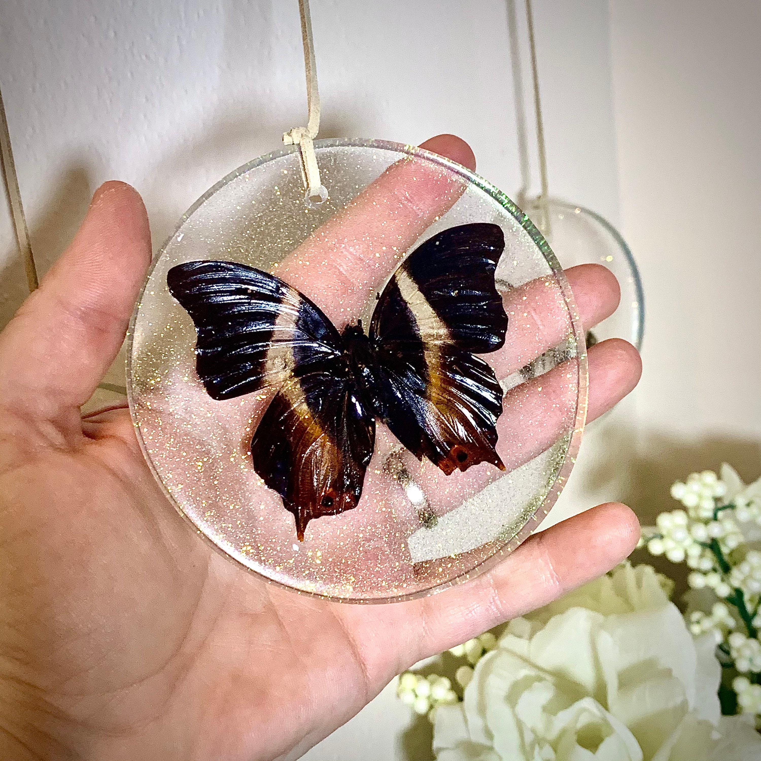 Original Glitterflies Wall Art (Real Butterflies) - Thumbnail 3