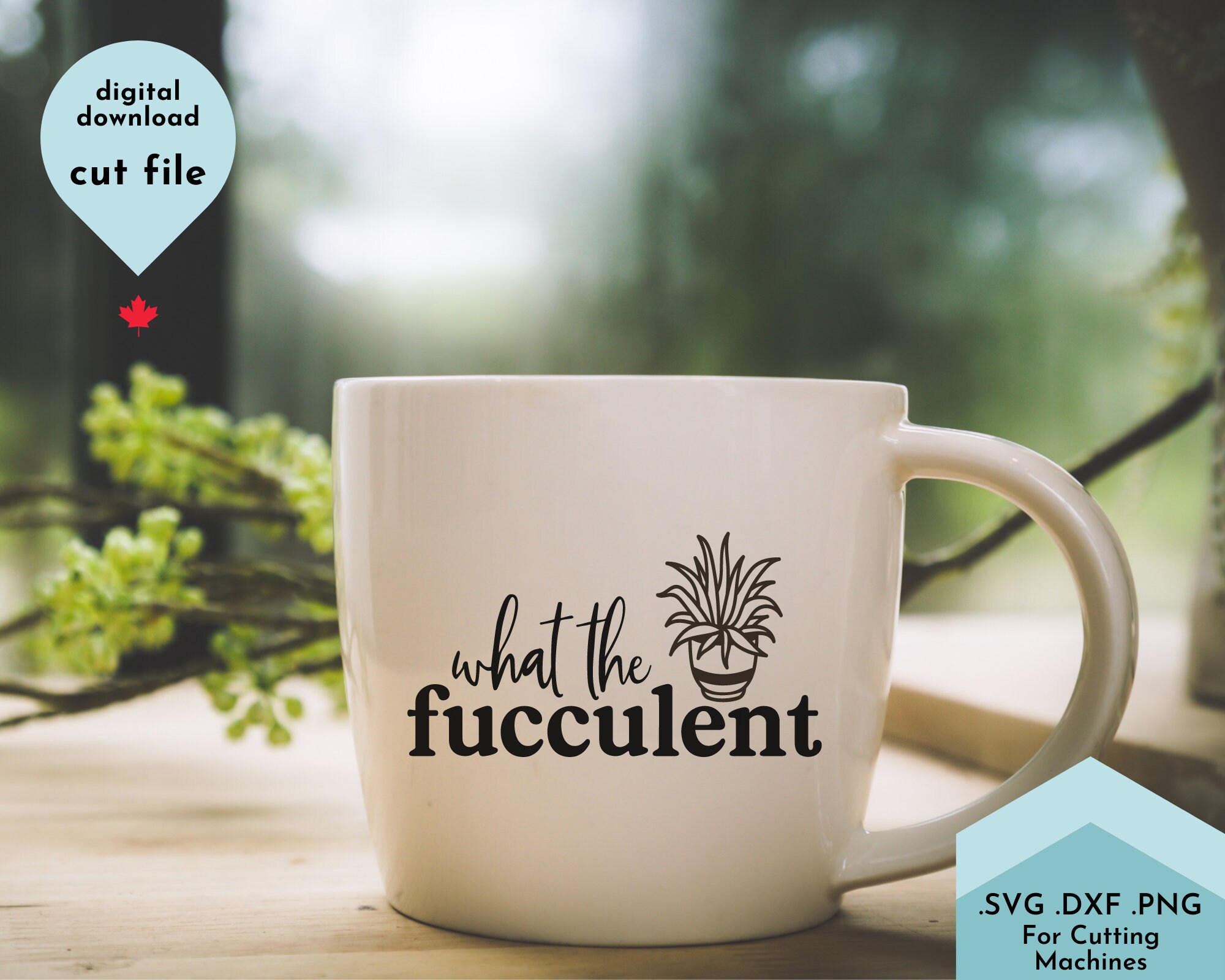Download What the Fucculent svg Plant Mom svg WTF svg Cactus Svg | Etsy