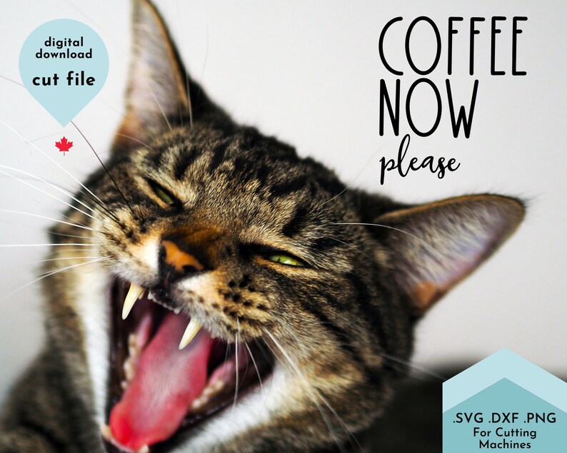 Download Coffee Now svg Funny Coffee Svg Coffee Lover Svg Coffee | Etsy