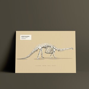 Brontosaurus Skeleton Poster, Dinosaur Poster, Educational Artwork