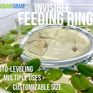 May include: A clear plastic feeding ring for fish tanks. The ring is floating in the water and has a small fish swimming inside. The ring is labeled "Invisible Feeding Ring" and has the text "AUTO-LEVELING", "MULTIPLE USES", and "CUSTOMIZABLE SIZE" on the side.