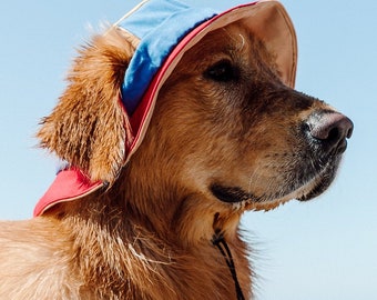 Dog sun hat uk top
