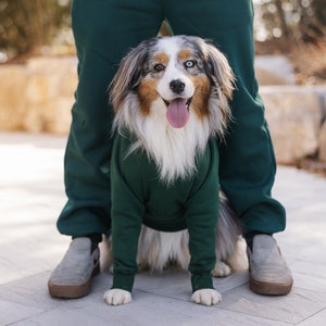 Green dog hoodie clearance