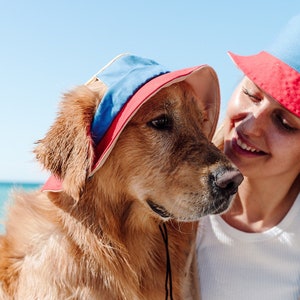 90s  Colorblock Dog Bucket Hat | Hats for Dogs | Large Dog Hats | Bucket Hat for Dogs | Hat for Pets |