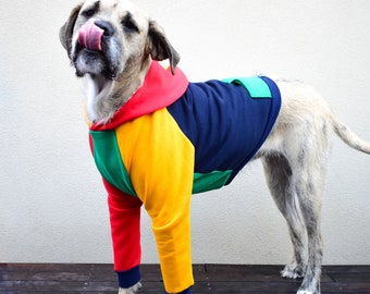 rainbow dog jumper