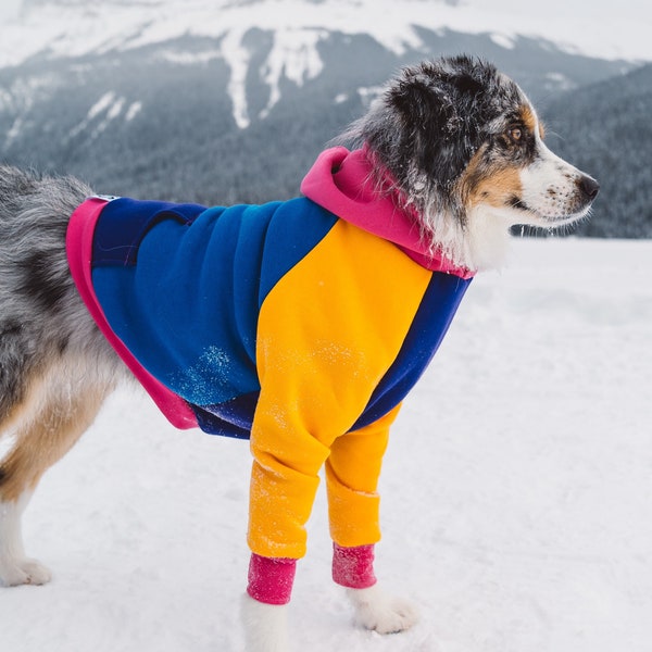 80's DOG HOODIE | Large Dog Sweater | Colorblock Dog Jumper | Ethical Dog Sweatshirt | Rainbow Dog Hoodie | Large Dog Hoodie