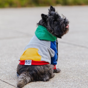Colourful Dog Sweater | HANDMADE DOG HOODIE | Pet Jumper | Quality Dog Sweatshirt | Colour-block Dog Hoodie | 90s Dog Jumper