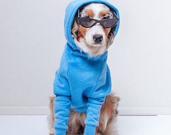 blue dog hoodie