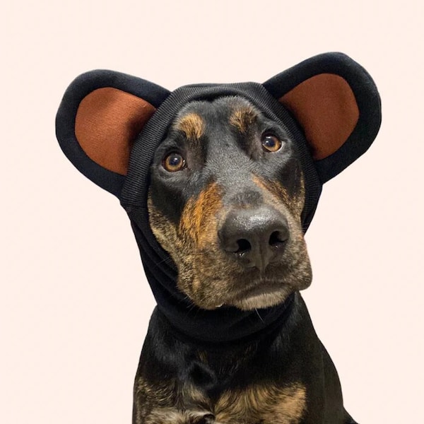 Black Bear Snoodie | Dog Bear Ears | Dog Teddy Bear Costume | Dog Snood | Dog Ear Warmer | Black Dog Scarf | Teddy Hat for Dogs Thunder Ears