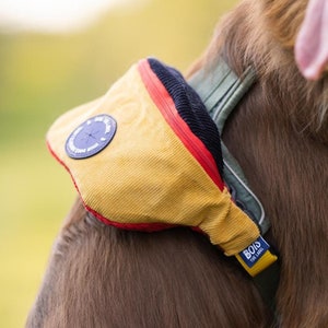 May include: A brown dog wearing a yellow, red, and black fanny pack with the text "BOIS THE LABEL" on the strap. The dog is wearing a green and black harness.