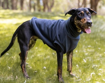 Charcoal Turtleneck Dog Sweater | Large Dog Turtleneck | Aussie Made Pet Jumpers | Ethical Dog Sweatshirt | Grey Dog Sweater