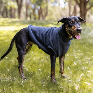 Puede incluir: Un perro negro con marcas marrones que lleva un suéter de forro polar azul marino, de pie sobre hierba verde. El perro está en un entorno similar a un parque con árboles en el fondo. El perro mira hacia la derecha con la lengua fuera.
