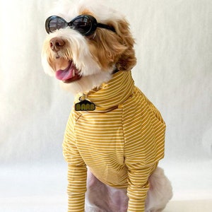 Mustard Stripe Terry Turtleneck Large Dog Sweater Yellow Pet Jumper Ethical Dog Sweater image 2