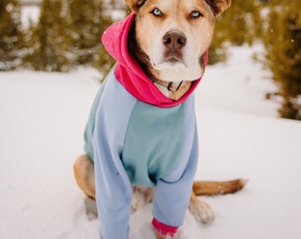 Colorblock Eeyore Dog Sweater | HANDMADE DOG HOODIE | Pet Jumper | Quality Dog Sweatshirt | Colorful Dog Hoodie | Blue and Pink Dog Jumper