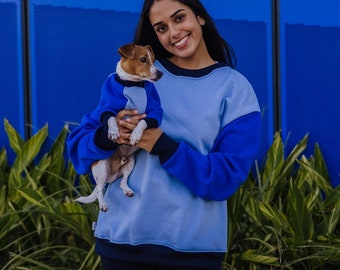 Blues Crews Dog Crewneck | Blue Colorblock Matching Dog and Owner Sweatshirts | Bright Matching Dog and Owner Sweaters