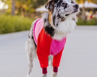 Colorblock Dog Sweater | Cozy Cotton Rayon Pet Jumper, Handmade Melbourne
