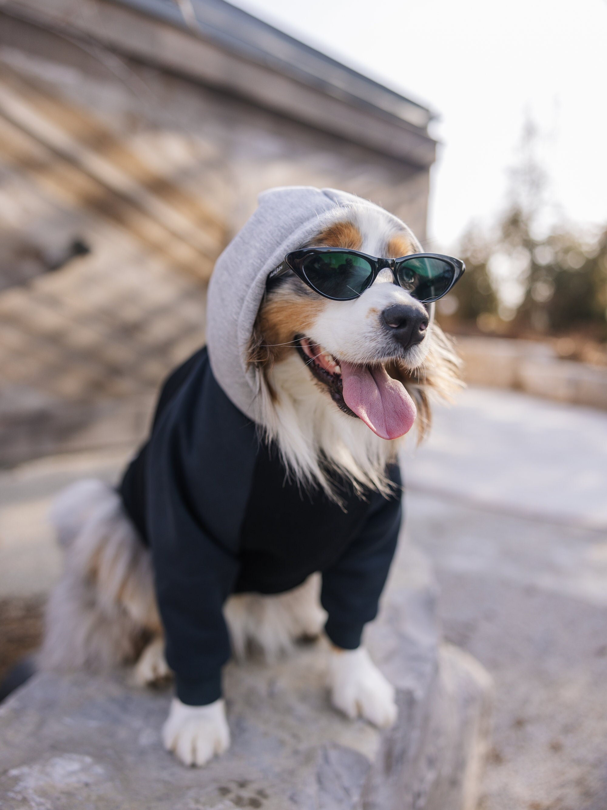 Colorblock Dog Hoodie: Handmade Fleece Pet Sweater - Etsy