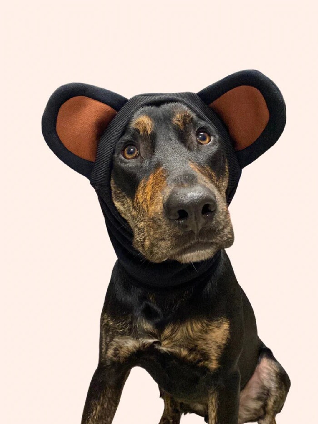 Black Bear Snoodie Dog Bear Ears Dog Teddy Bear Costume Dog Snood Dog