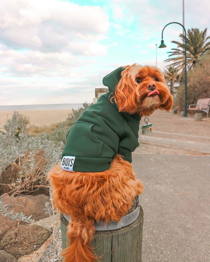 Walkies Dog Hoodies Forest Green DOG HOODIE Pet Jumper Ethical Dog Hoodie Green Dog Hoodie image 1