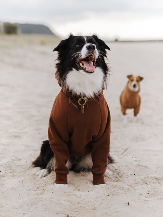Brown 2024 dog sweater