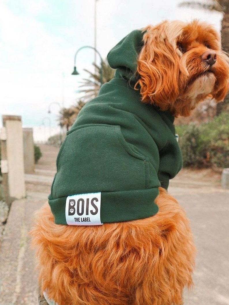 Walkies Dog Hoodies Forest Green DOG HOODIE Pet Jumper Ethical Dog Hoodie Green Dog Hoodie image 2