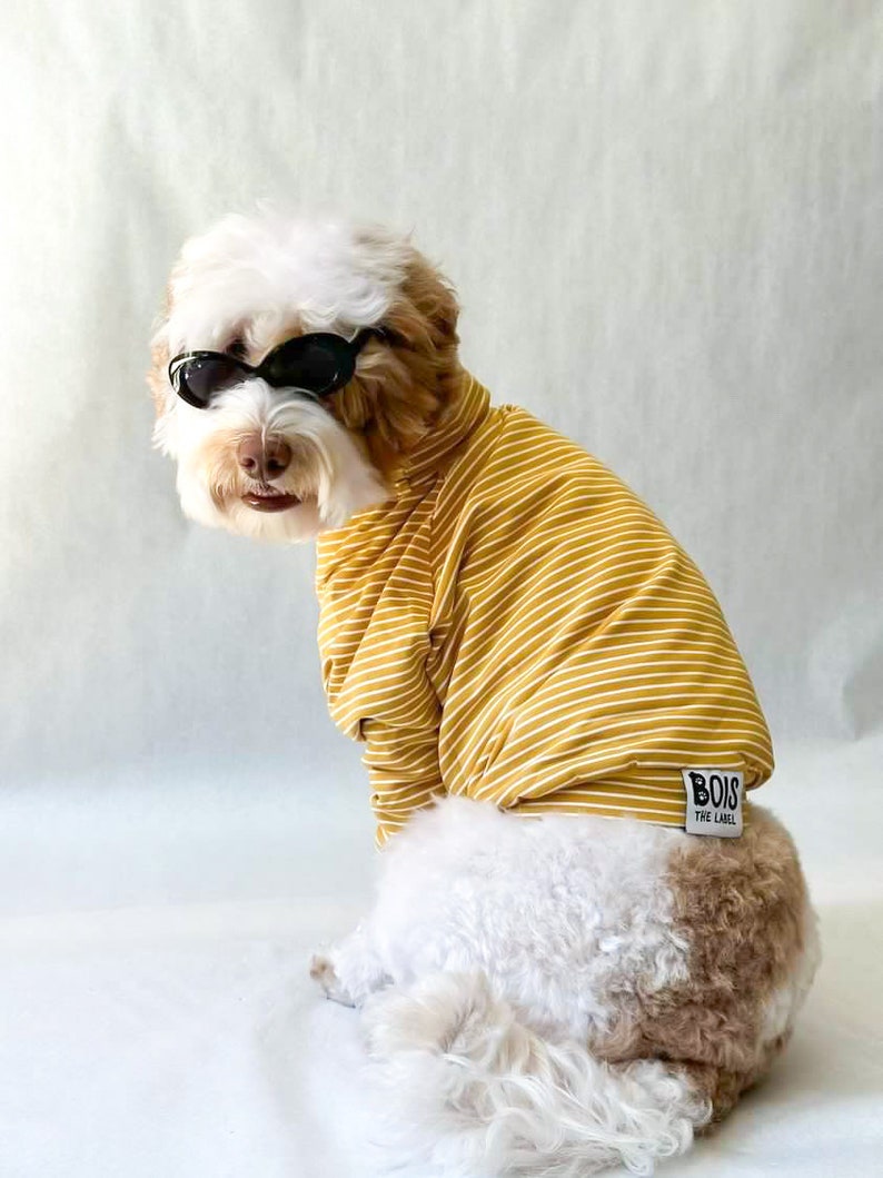 Mustard Stripe Terry Turtleneck Large Dog Sweater Yellow Pet Jumper Ethical Dog Sweater image 1