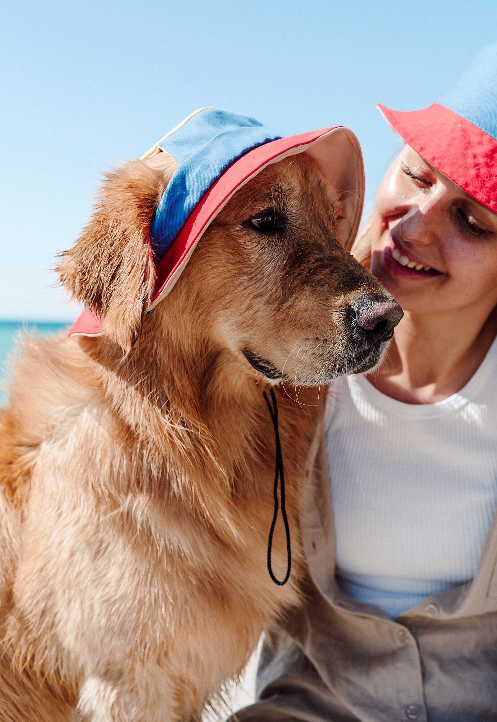 Dogs With Hats Etsy