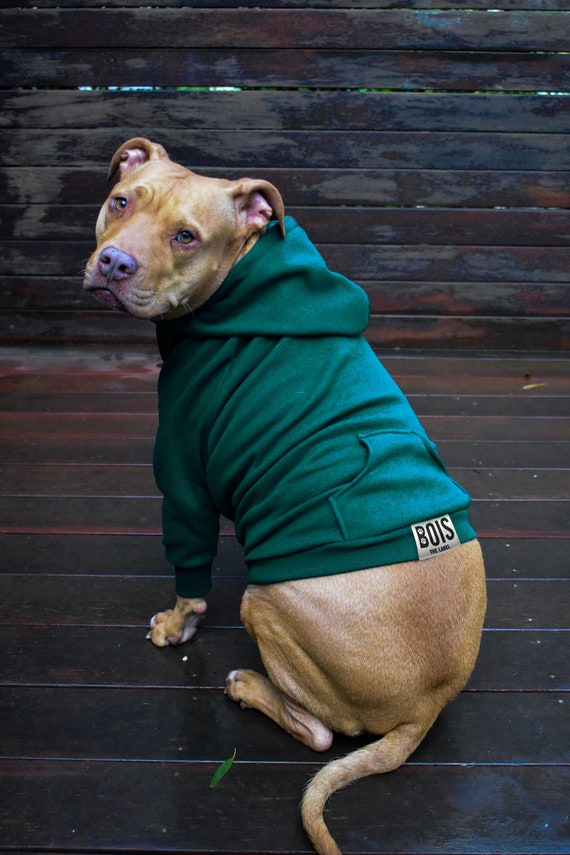 green dog jumper