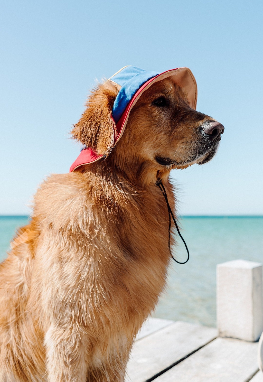 Dog Sunblock Hats Dog Hat For Sun Protection HDKUW Dog Bucket Hats