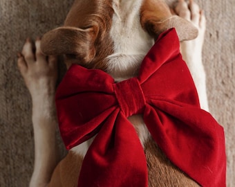 Festive Red Cotton Velvet Holiday Sailor Bow for Large Dogs