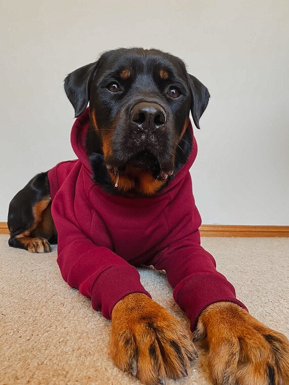 Hoodie cheap jumper maroon