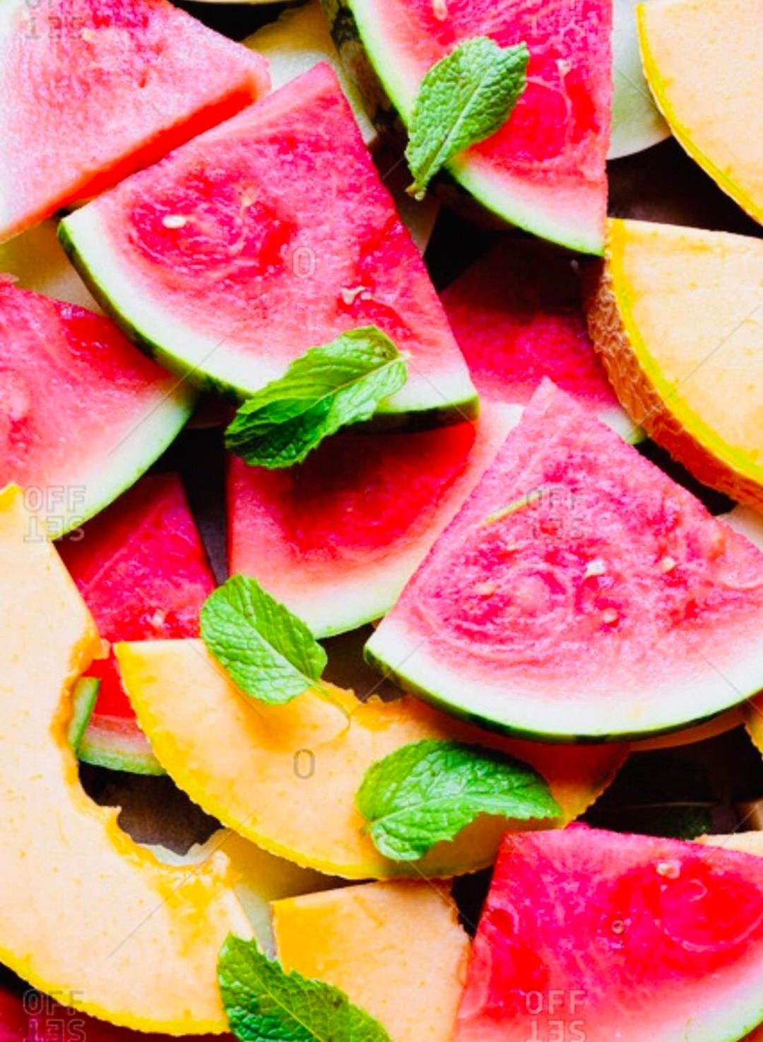 Melons & Pumpkin Pack Etsy