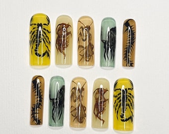 LNA0191 - Insect Handpainted Long Square Press On Nail, Gel Nail Art, Handmade Fake Nails, Birthday Event Nail