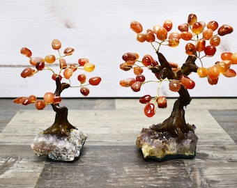 Red Tumbled Carnelian Crystal Quartz Tree, Polished Bonsai Tree Amethyst Base, Creativity & Motivation, Feng Shui Decor for Energy Balance