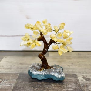 Polished Tumbled Citrine Healing Crystals Money Tree for Wealth, Positive Energy at Home Office ,Decorative Spiritual Gifts, House Warming