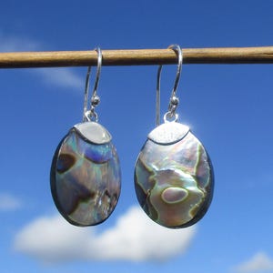 Abalone - mother of pearl - earrings silver 925