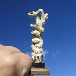Può includere: Una scultura intagliata color crema raffigurante tre serpenti intrecciati con squame testurizzate, montata su una base rettangolare in legno marrone scuro. I serpenti sono avvolti verticalmente, con le teste posizionate a diverse altezze.