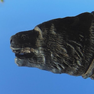 Könnte beinhalten: Eine dunkle, verwitterte Holzschnitzerei eines Bärenkopfes im Profil, die eine detaillierte Fellstruktur und eine geschnitzte Schnauze zeigt. Die Skulptur weist einen markanten, ringartigen Kragen am Hals auf und ist vor einem hellblauen Himmel.