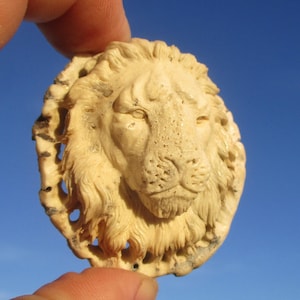Può includere: Intaglio a forma di testa di leone color crema. La criniera e i lineamenti del leone sono intagliati in modo intricato, con un bordo traforato circolare. Su sfondo di cielo blu.