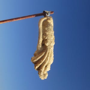 Ciondolo in argento 925 con corno intagliato a forma di polpo, seppia e opale (Owyhee).