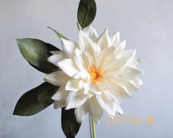 May include: A white paper dahlia flower with a yellow center and green leaves. The flower is labeled "Dahlia A".