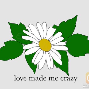 Sublimationsdruck | Gib mir keine Vorwürfe | Swift inspiriert | Liebe hat mich verrückt gemacht Daisy Poison Ivy Png | Pdf | .jpg | Digitaler Download